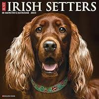 Algopix Similar Product 17 - Just Irish Setters 2023 Wall Calendar