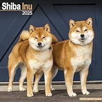 Algopix Similar Product 5 - Shiba Inu Calendar 2025  Square Dog