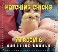 Algopix Similar Product 16 - Hatching Chicks in Room 6 Life Cycles