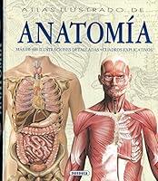 Algopix Similar Product 18 - Atlas ilustrado de anatoma Spanish