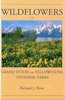 Algopix Similar Product 7 - Wild Flowers of Grand Teton and