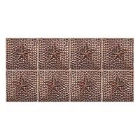 Algopix Similar Product 17 - Premier Copper Products T4DBS_PKG8