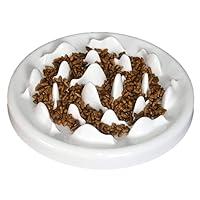 Algopix Similar Product 15 - Lorde Slow Feeder Cat Bowls Ceramic