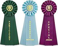 Algopix Similar Product 18 - Clinch Star Victory Recognition Award