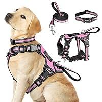 Algopix Similar Product 8 - WINSEE Pet Harness Collar and Leash