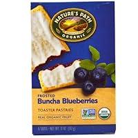 Algopix Similar Product 14 - Natures Path Organic Toaster Pastries