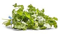 Algopix Similar Product 7 - Herb Cilantro Organic, 1 Bunch