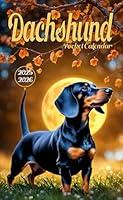 Algopix Similar Product 18 - Dachshund Pocket Calendar 20252026