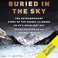 Algopix Similar Product 10 - Buried in the Sky The Extraordinary