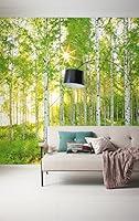 Algopix Similar Product 19 - Komar 519DV3 Photomural Green 300 x