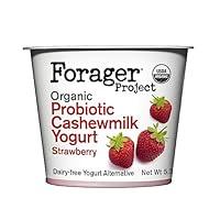 Algopix Similar Product 15 - Forager Project Cashewmilk Yogurt
