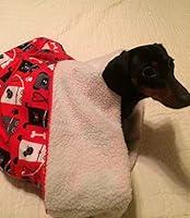 Algopix Similar Product 5 - Small Dog Dachshund Red with Square