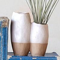 Algopix Similar Product 17 - Creative CoOp 2Tone Stoneware Vase