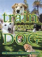 Algopix Similar Product 17 - Train Your Dog  The Positive Gentle