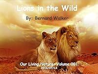 Algopix Similar Product 13 - Lions in the Wild Our Living Nature