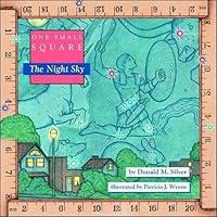 Algopix Similar Product 10 - One Small Square, The Night Sky