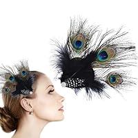 Algopix Similar Product 1 - Generic Peacock Feather Hair Clip