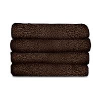 Algopix Similar Product 16 - Sunbeam Heated Blanket  LoftTec 10