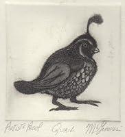 Algopix Similar Product 2 - Quail