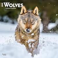 Algopix Similar Product 12 - Wolves 2025 12 X 24 Inch Monthly Square