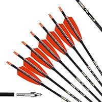 Algopix Similar Product 13 - PG1ARCHERY 30 Inch Carbon Arrows