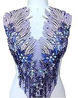 Algopix Similar Product 2 - Lace Applique 3D Beaded Embroidered