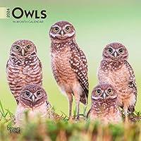 Algopix Similar Product 17 - Owls  2024 7 x 14 Inch Monthly Mini