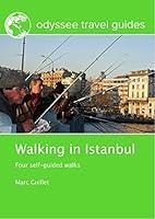 Algopix Similar Product 7 - Walking in Istanbul Four selfguided