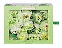 Algopix Similar Product 9 - Heathcote  Ivory Lily of the Valley