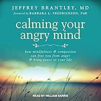 Algopix Similar Product 7 - Calming Your Angry Mind How