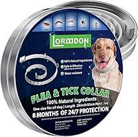 Algopix Similar Product 9 - LORDDDON Dog Collars One Size Fits All