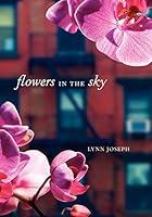 Algopix Similar Product 17 - Flowers in the Sky