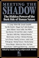 Algopix Similar Product 12 - Meeting the Shadow The Hidden Power of