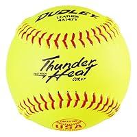 Algopix Similar Product 9 - Dudley USASB Thunder Heat Fastpitch