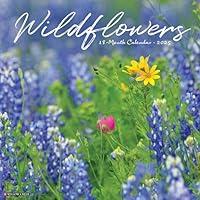 Algopix Similar Product 8 - Wildflowers 2025 12" x 12" Wall Calendar