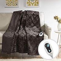 Algopix Similar Product 18 - Beautyrest Brushed Long Fur Electric
