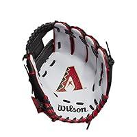 Algopix Similar Product 13 - Wilson A200 10 Houston Astros Glove