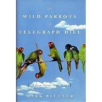 Algopix Similar Product 2 - The Wild Parrots of Telegraph Hill A