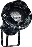 Algopix Similar Product 4 - Dabmar LV109VG Hooded Spot Light with