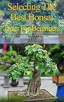 Algopix Similar Product 9 - Selecting the Best Bonsai Trees for