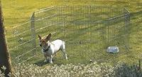 Algopix Similar Product 6 - Savic Dog Park 1 Octagonal Play Pen 61