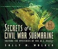 Algopix Similar Product 4 - Secrets Of A Civil War Submarine