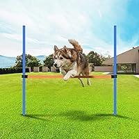 Algopix Similar Product 2 - PAWISE Dog Training Exercise