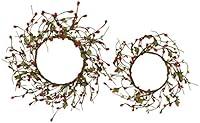 Algopix Similar Product 10 - Great Finds B326 TC Bead Wreaths
