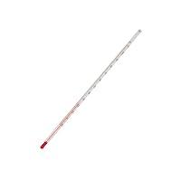 Algopix Similar Product 9 - American 3B Scientific U14295 Tube