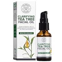 Algopix Similar Product 17 - Beauty Foundry Clarifying Tea Tree