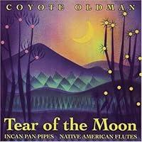 Algopix Similar Product 17 - Tear of the Moon