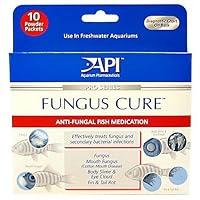 Algopix Similar Product 20 - Aquarium Pharmaceuticals  Fungus Cure