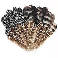 Algopix Similar Product 20 - Natural Turkey Spotted Feathers 30Pcs