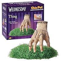 Algopix Similar Product 1 - Chia Pet Thing  Wednesday with Seed